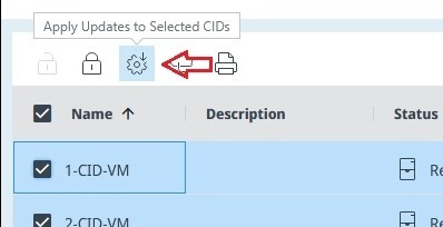 Apply Updates to Multiple CIDs